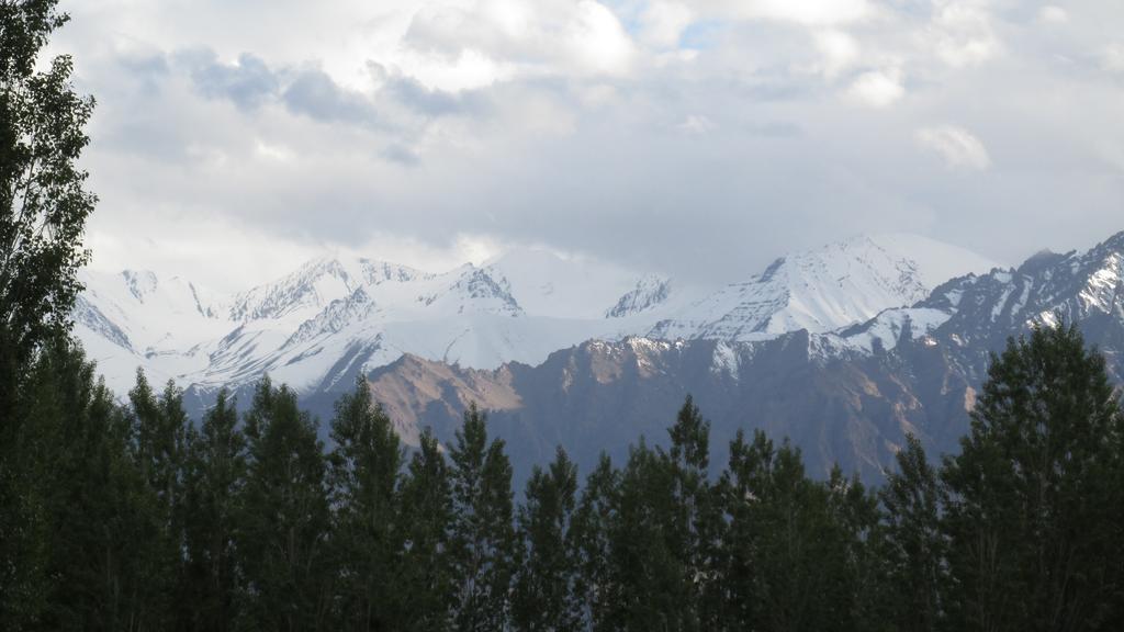 Streamlet Homestay Leh Exterior photo